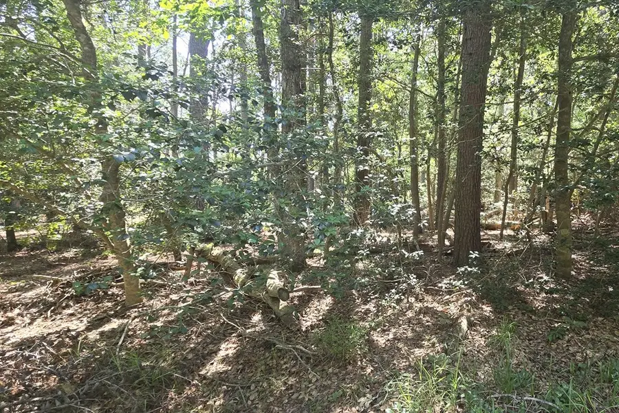 Lot B4 Saltworks Rd, Jamesville, VA 23398 - #2
