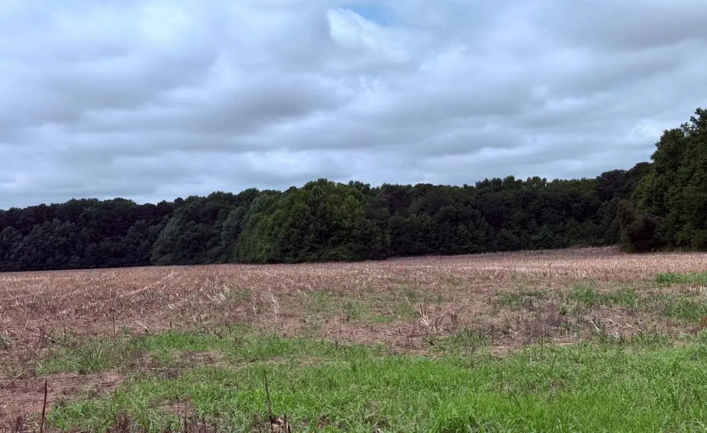 Lot 185 Mason Rd, Bloxom, VA 23308 - #1