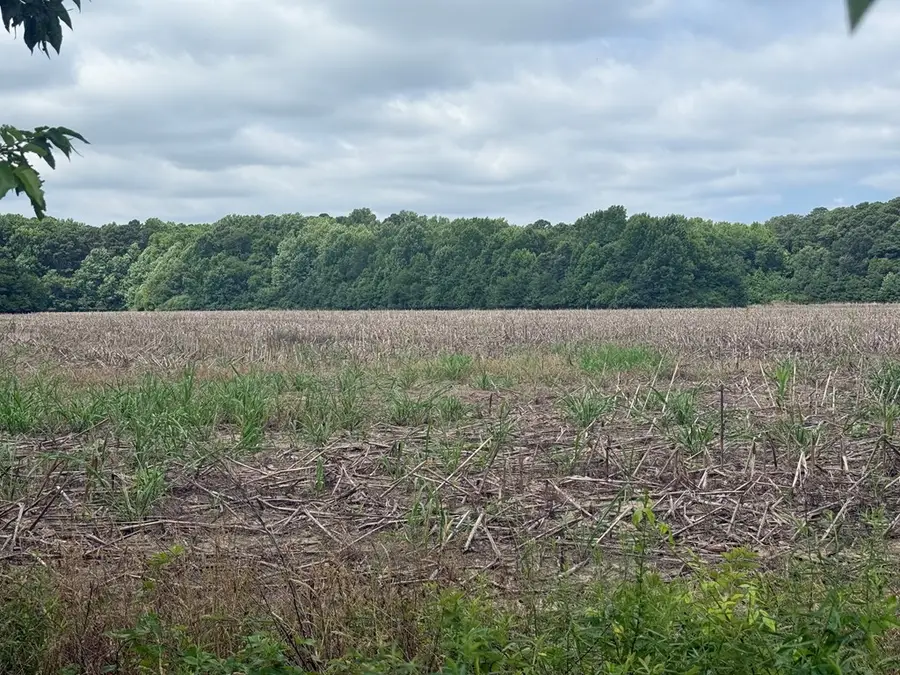 Lot 185 Mason Rd, Bloxom, VA 23308 - #3