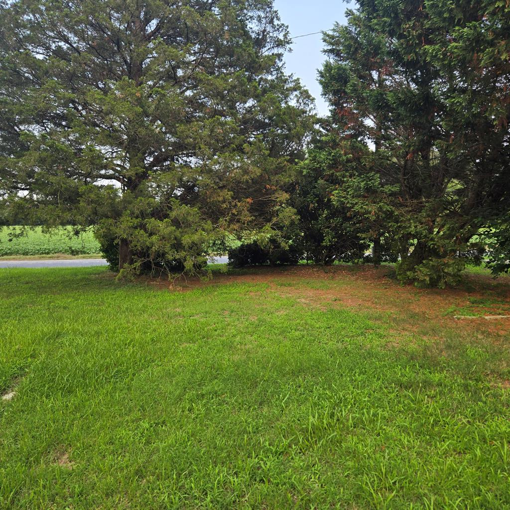 27288 Cheapside Rd, Cape Charles, VA 23310 - #1