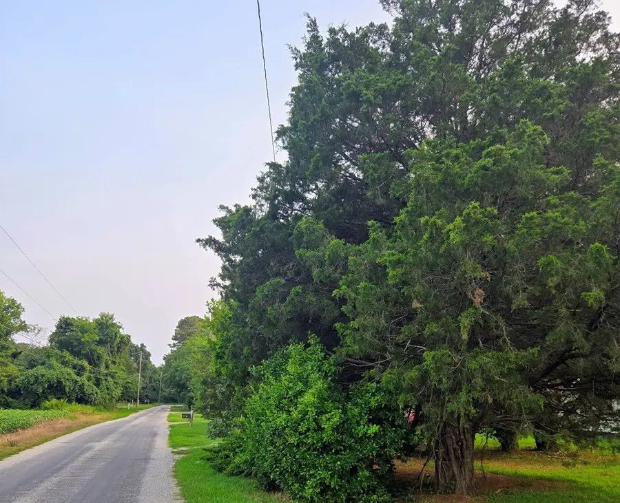 27288 Cheapside Rd, Cape Charles, VA 23310 - #2