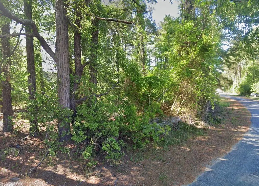 Lot 1142 Aft Ct, Greenbackville, VA 23356 - #1