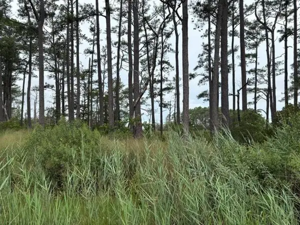 LOT 9 Ridge Rd, BLOXOM, VA 23308