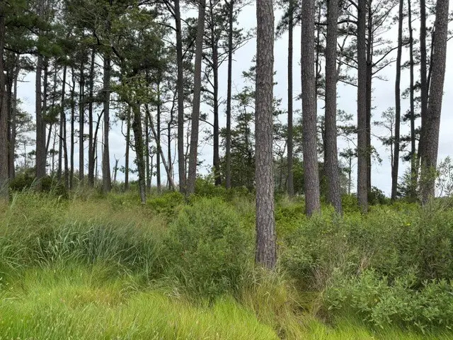 LOT 9 Ridge Rd, Bloxom, VA 23308 - #3