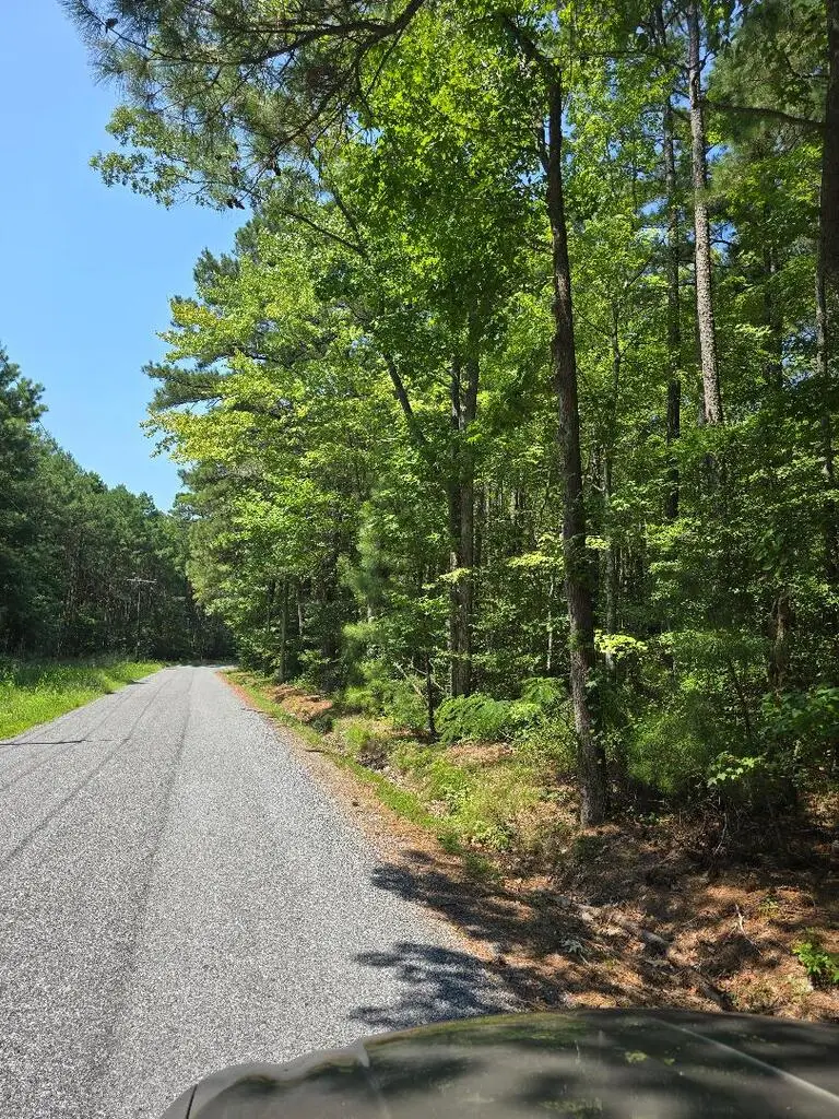 0 Plantation Rd, Onancock, VA 23417 - #1