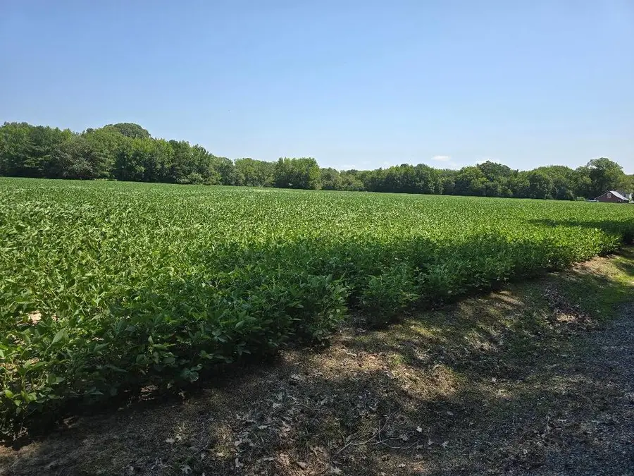 0 Plantation Rd, Onancock, VA 23417 - #3
