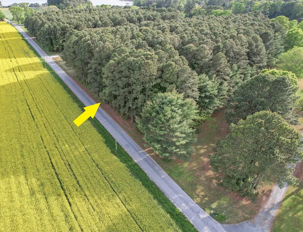 Lot E Sparrow Point Rd, Machipongo, VA 23405 - #1