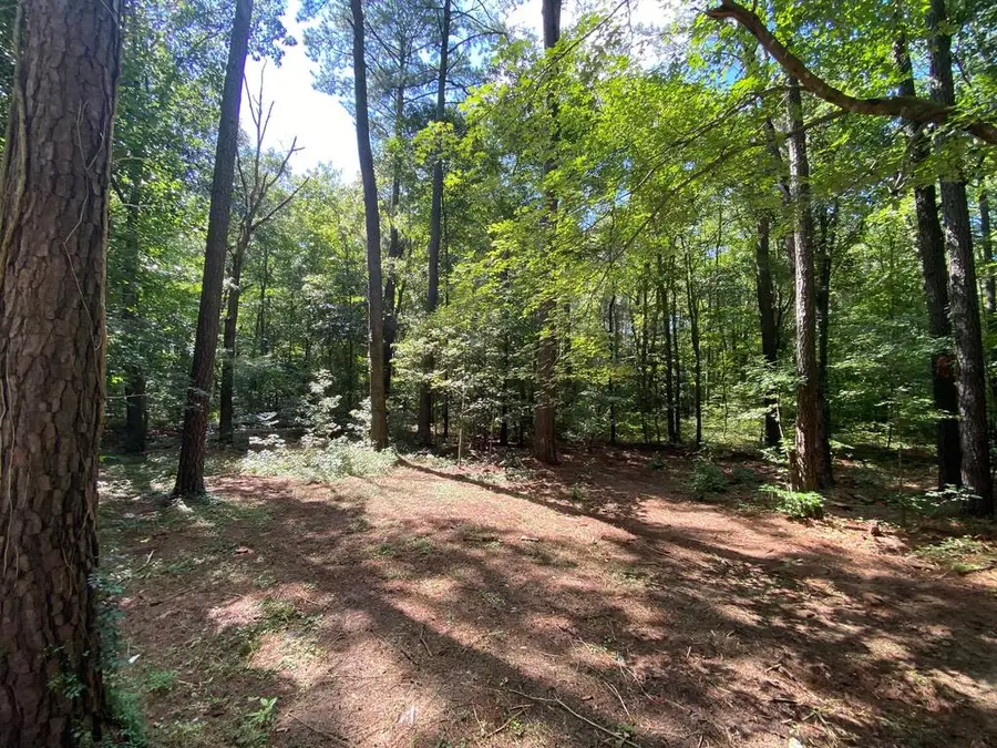 27202 Pine Ridge Dr, Melfa, VA 23410 - #3