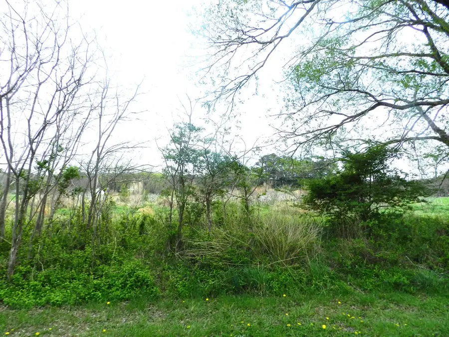Lot 158 Spoonbill Ln, Machipongo, VA 23405 - #2