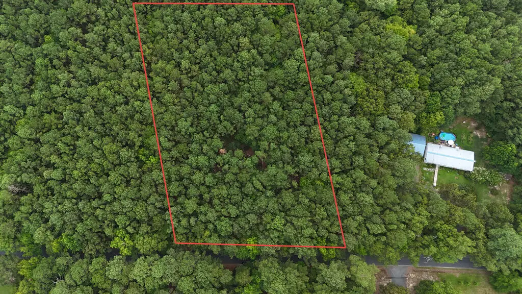Lot 3 Race Track Rd, Melfa, VA 23410 - #1