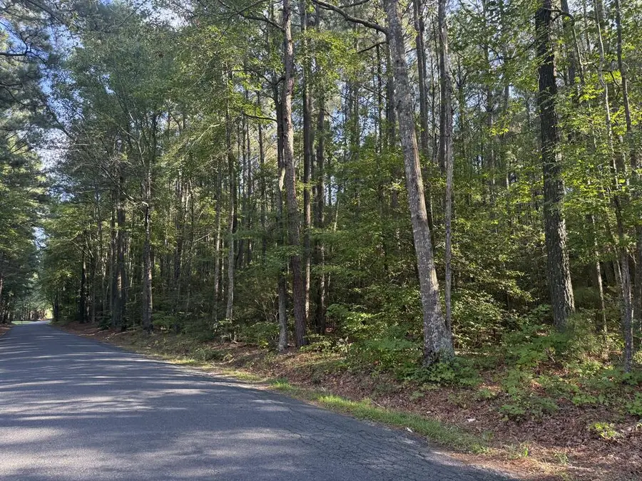 Lot 3 Race Track Rd, Melfa, VA 23410 - #3