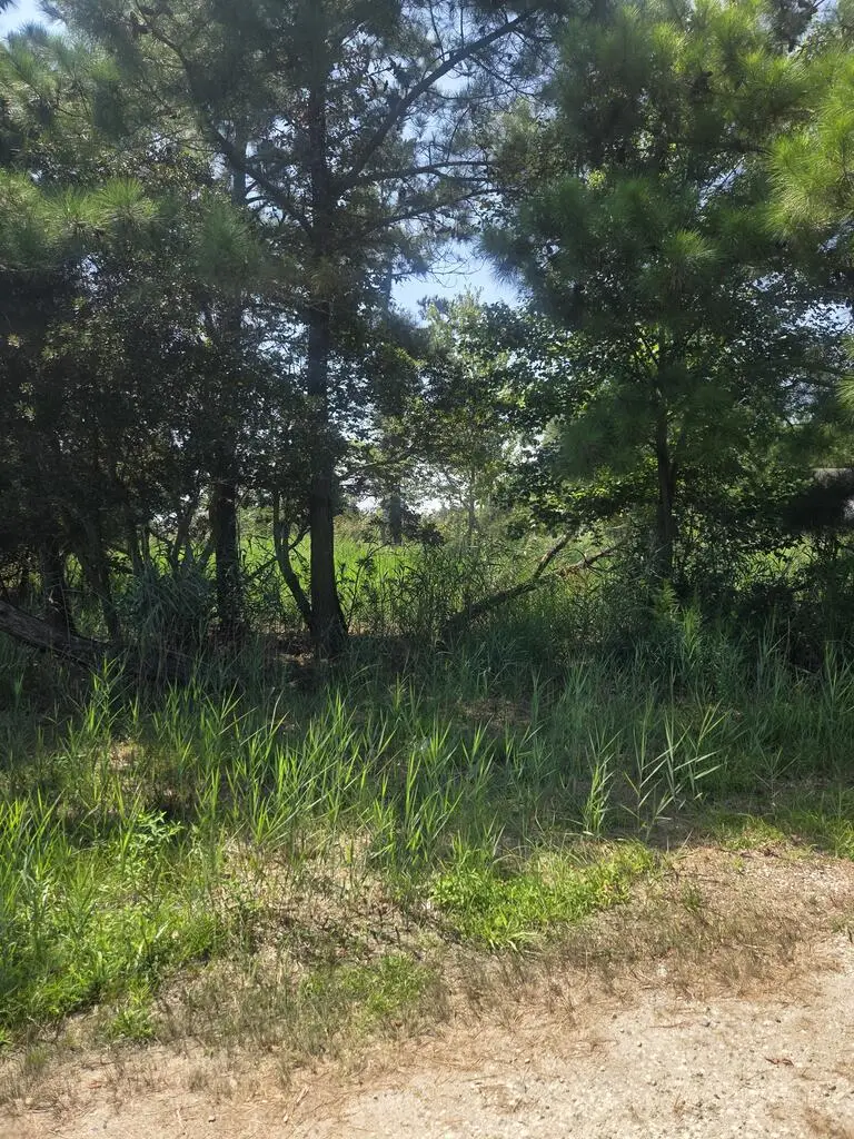 Lot 1 Lekites, Chincoteague, VA 23336 - #1