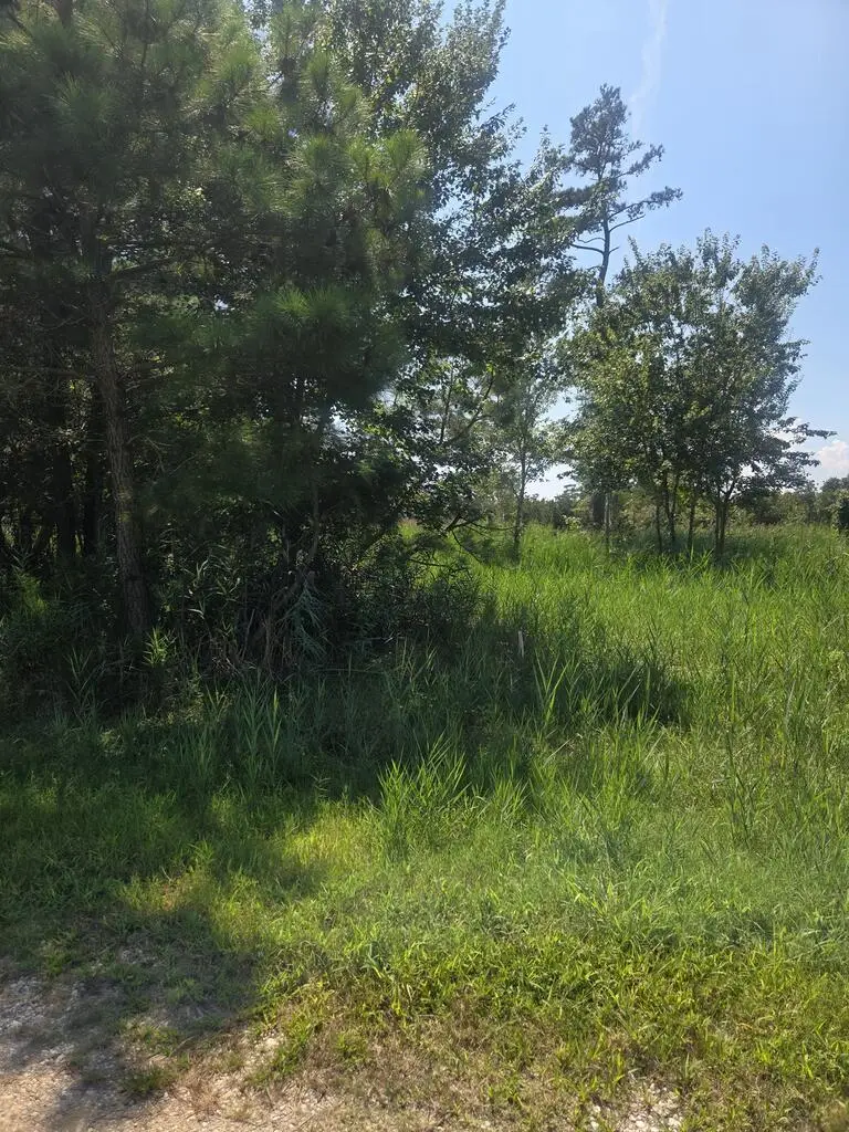 Lot 1 Lekites, Chincoteague, VA 23336 - #3