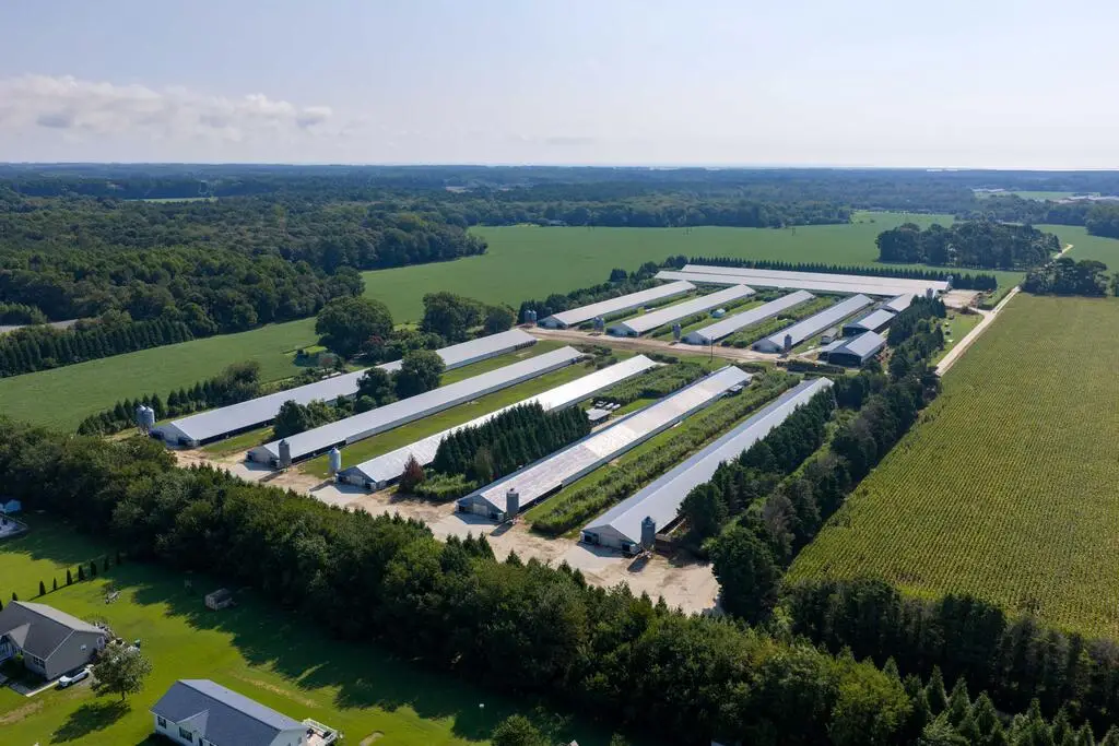 21213 Big Farm Rd, Melfa, VA 23410 - #1