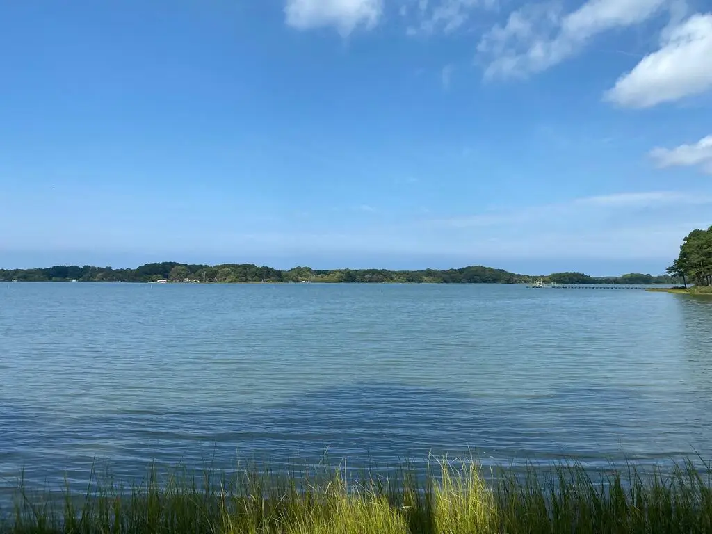 Lot 1B Wilsonia Dr, Machipongo, VA 23405 - #1