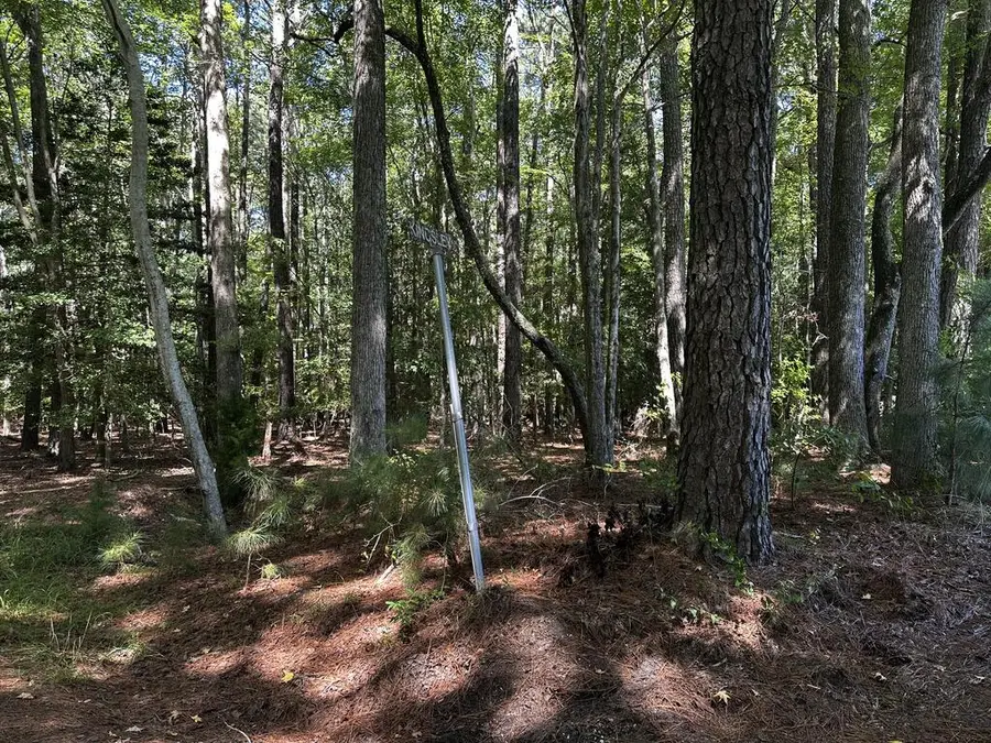 9,10,11 Custis Creek Lane, Accomac, VA 23301 - #2