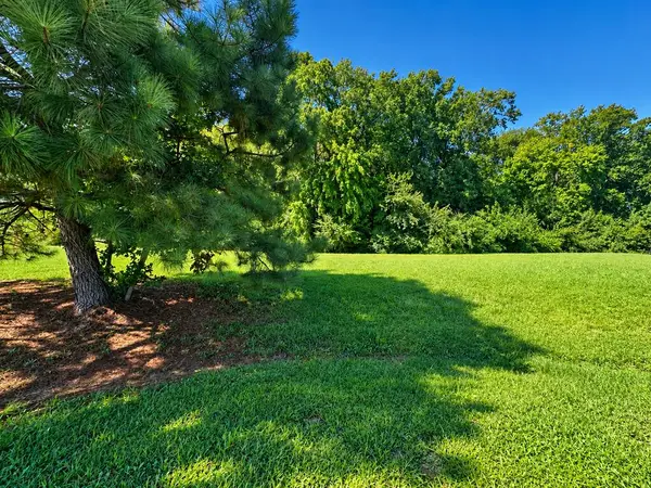 Lot 40 Doe Crossing, MELFA, VA 23410
