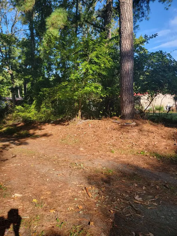 Lot 94 Cherrix Ln, CHINCOTEAGUE, VA 23336