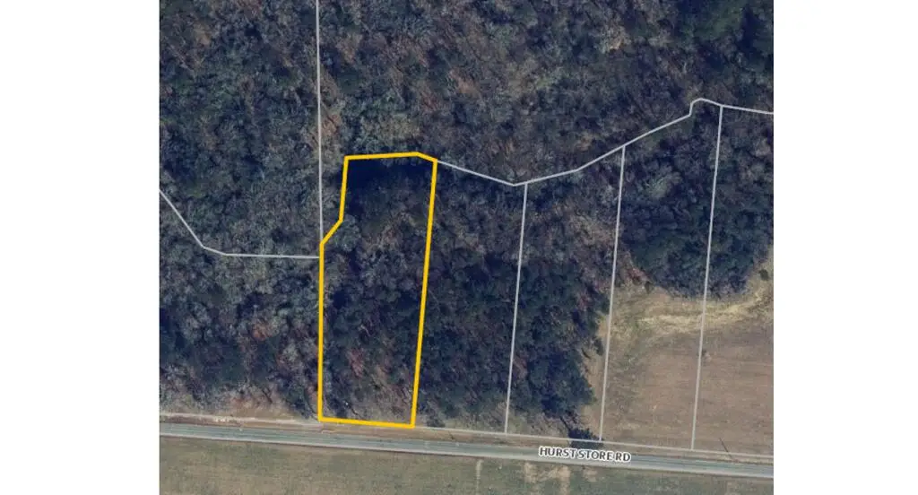 1 Hurst Store Road, Greenbush, VA 23357 - #1