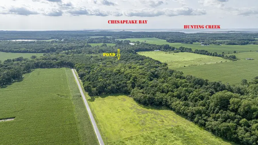 1 Hurst Store Road, Greenbush, VA 23357 - #2