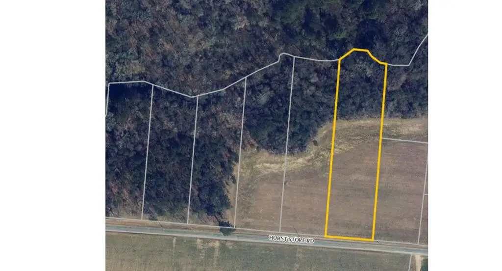 6 Hurst Store Road, Greenbush, VA 23357 - #1