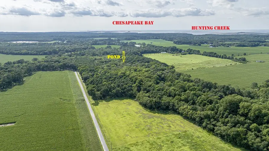 6 Hurst Store Road, Greenbush, VA 23357 - #3