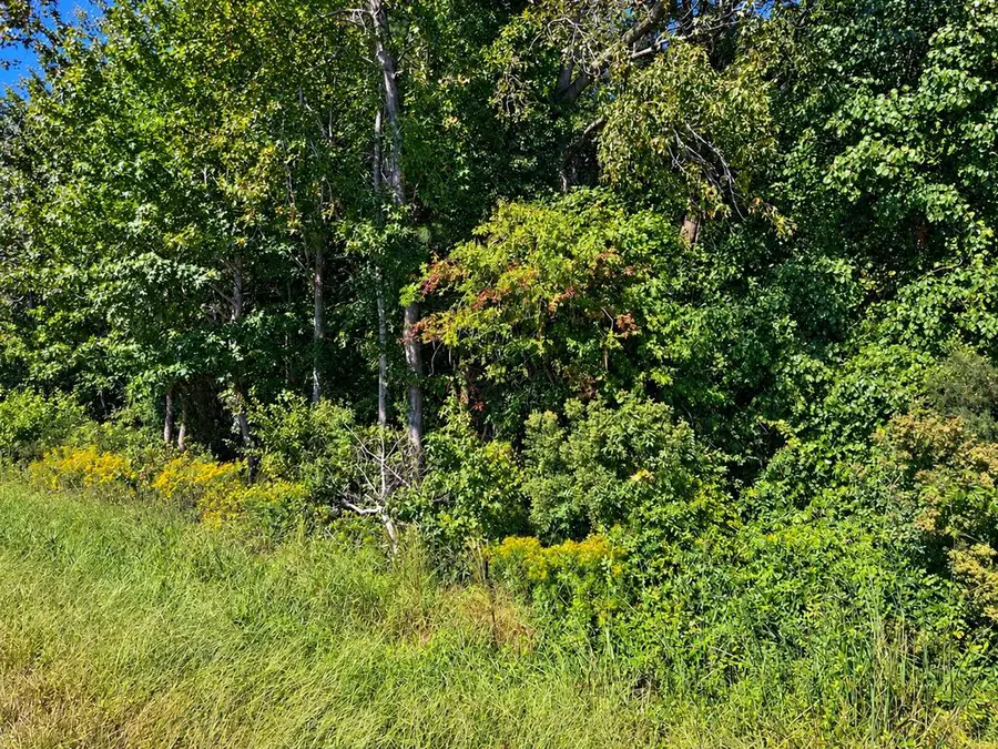 00 Lankford Hwy, Accomac, VA 23301 - #2