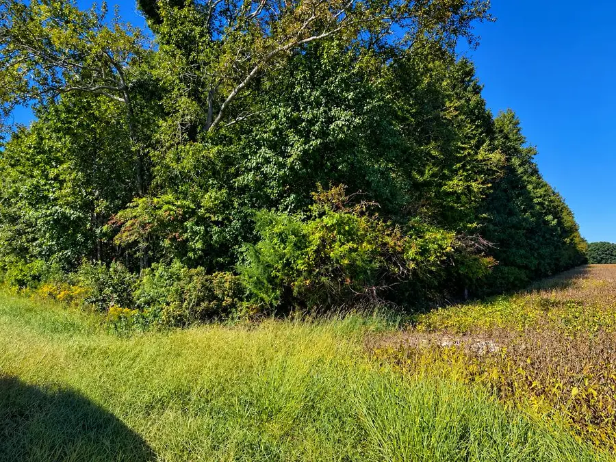 00 Lankford Hwy, Accomac, VA 23301 - #3