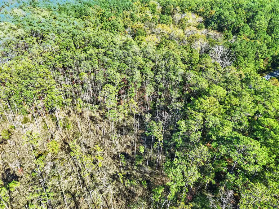 LOT 42 Parkers Landing, Parksley, VA 23421 - #2