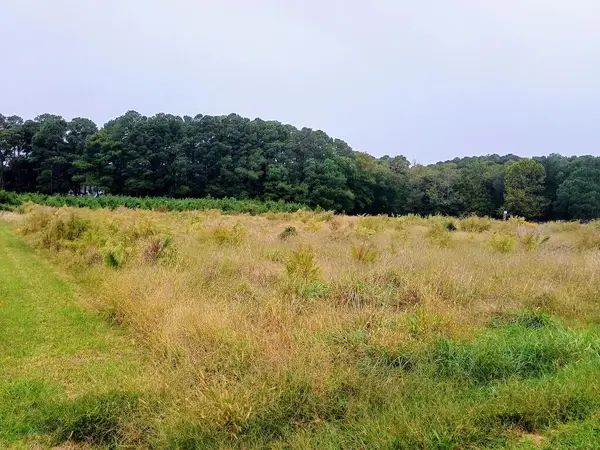 Lot 41 Church Neck Rd, MACHIPONGO, VA 23405