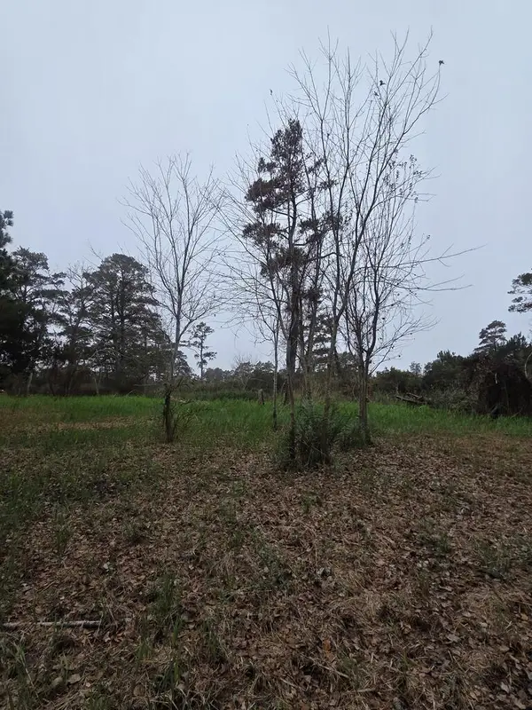 RESI 93J Lekites, CHINCOTEAGUE, VA 23336