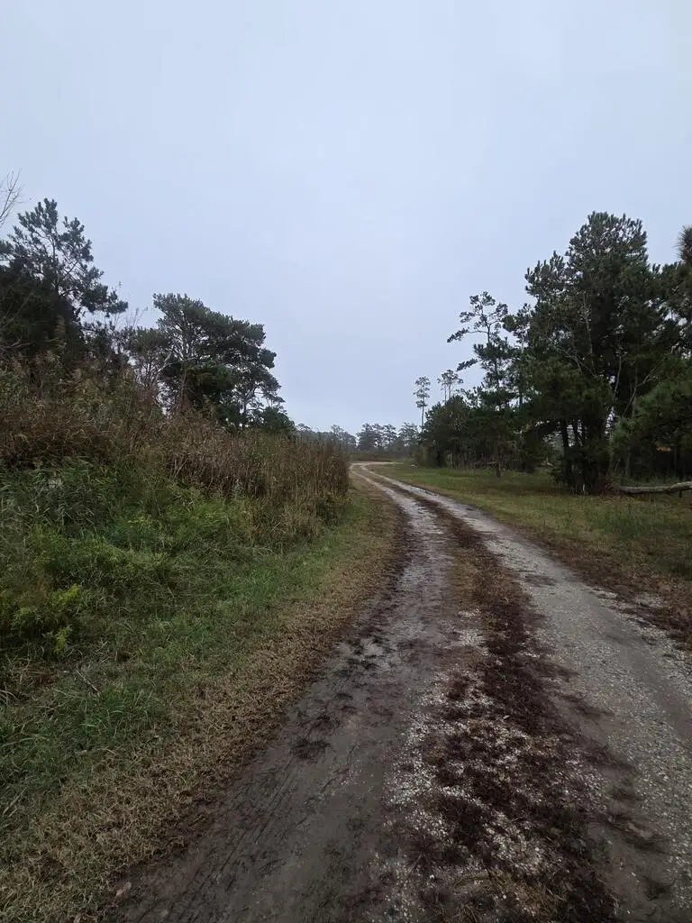 RESI 93J Lekites, Chincoteague, VA 23336 - #2
