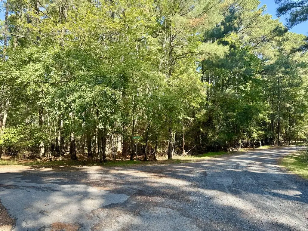 Lot 551 Skipper Ct, Greenbackville, VA 23356 - #1