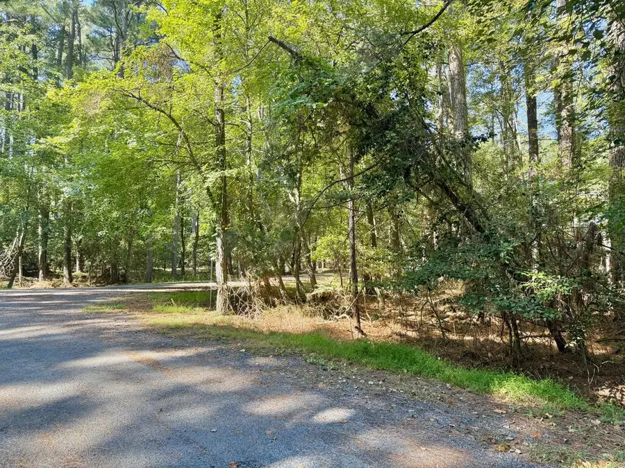 Lot 551 Skipper Ct, Greenbackville, VA 23356 - #2