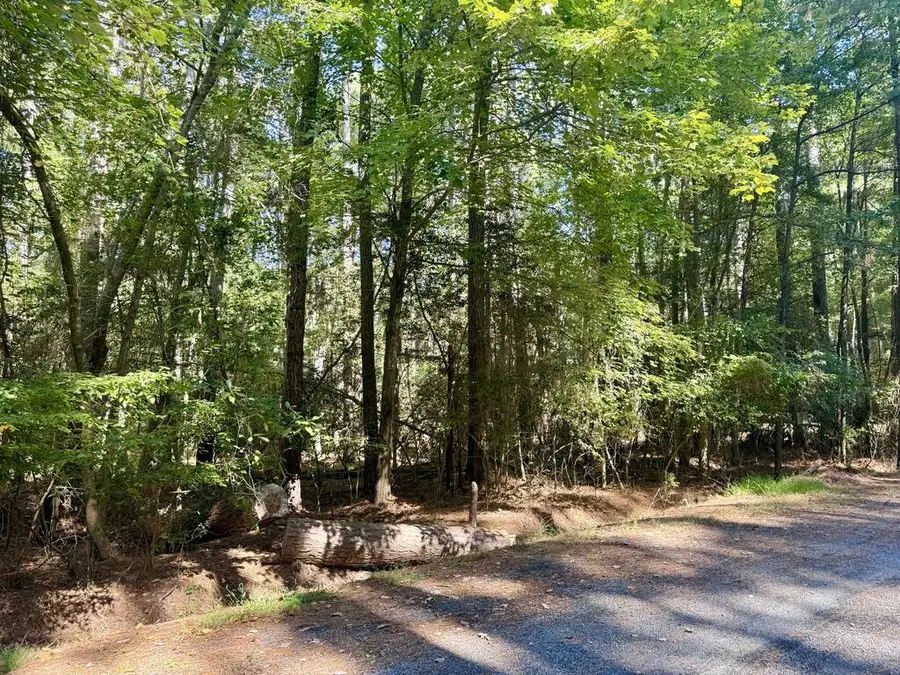 Lot 551 Skipper Ct, Greenbackville, VA 23356 - #3