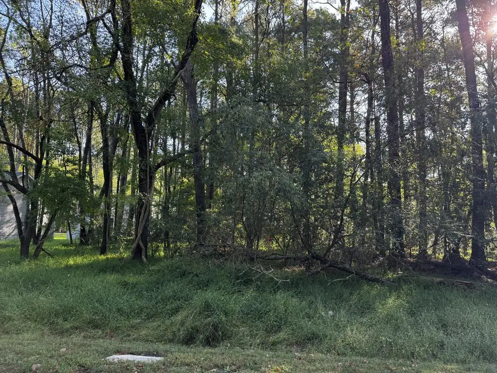 Lot 232 Smugglers Way, Greenbackville, VA 23356 - #1