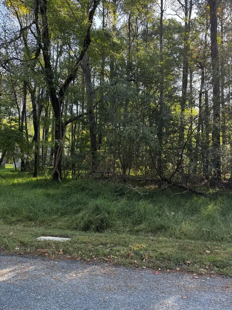 Lot 232 Smugglers Way, Greenbackville, VA 23356 - #3