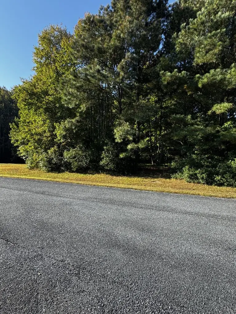 Lot 247 Smugglers Way, Greenbackville, VA 23356 - #1