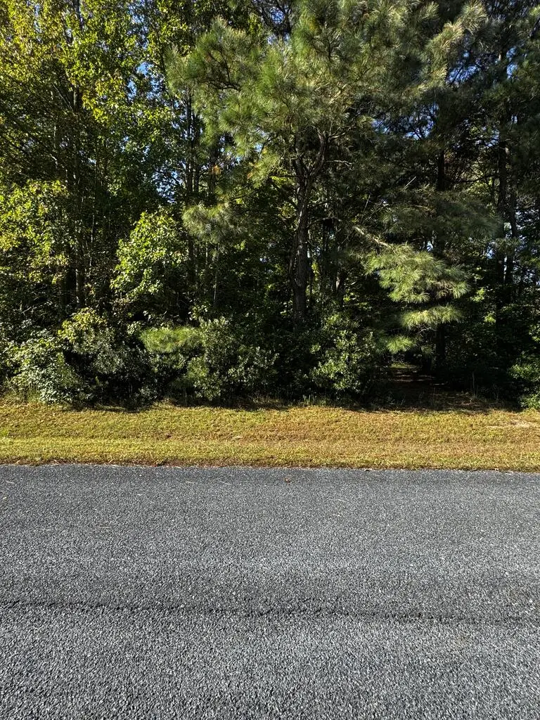 Lot 247 Smugglers Way, Greenbackville, VA 23356 - #2