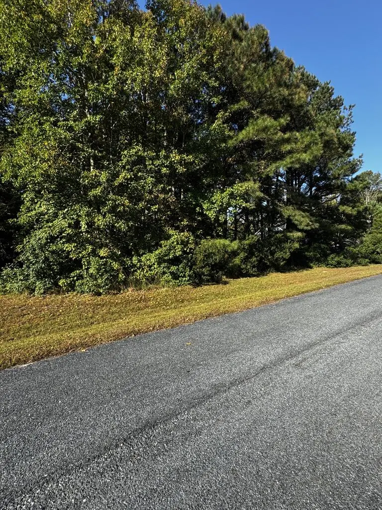 Lot 247 Smugglers Way, Greenbackville, VA 23356 - #3
