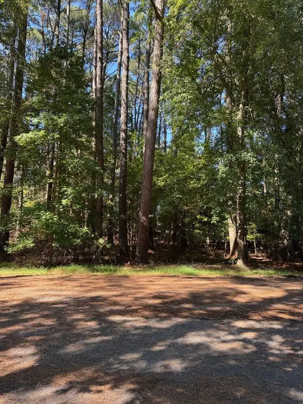 Lot 485 Dry Dock Ct, GREENBACKVILLE, VA 23356