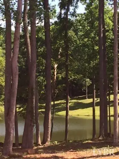 0 Willow Oak Drive, Forest, VA 24551 - Image #1