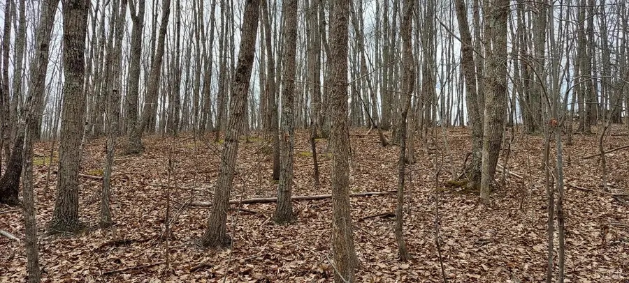 0 Camellia Lane, Hurt, VA 24563 - Image #3