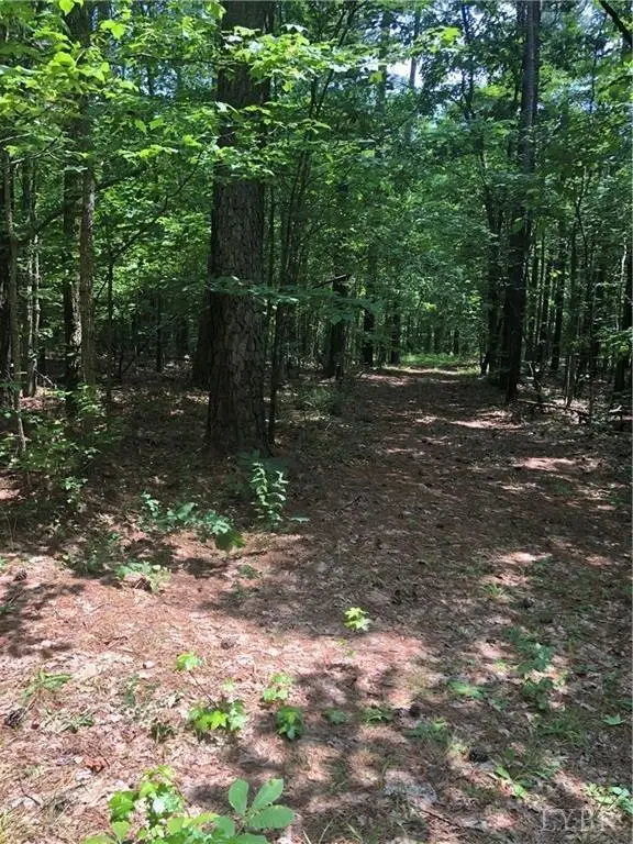 2341 Chappell Road, Keysville, VA 23947 - Image #1