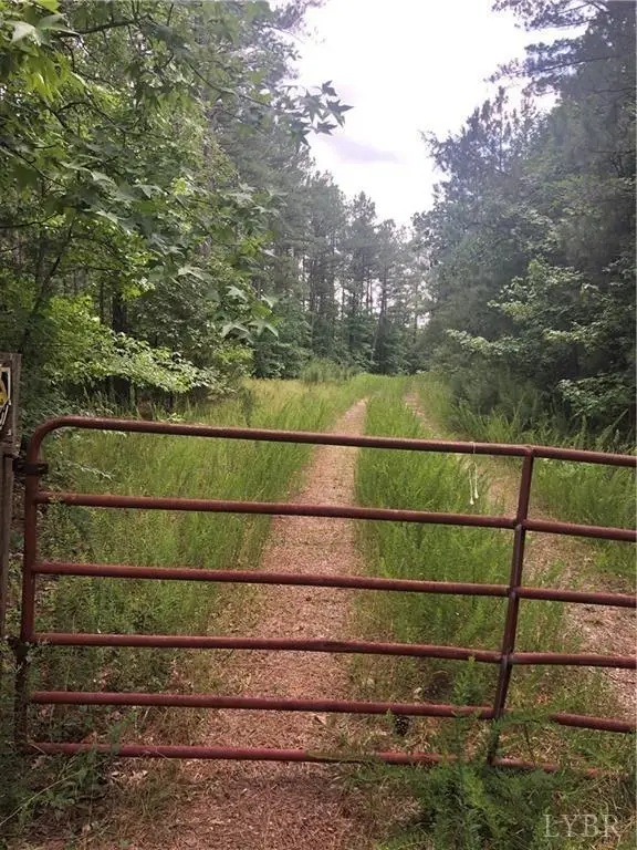 2341 Chappell Road, Keysville, VA 23947 - Image #3