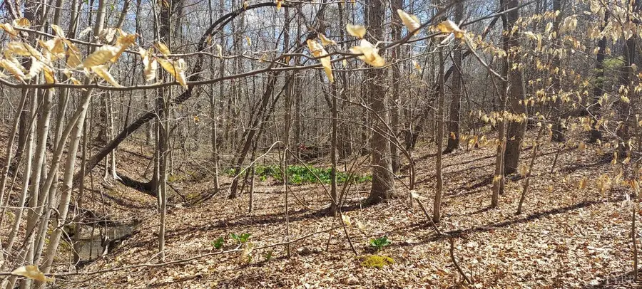 0 Hunter Road, Brookneal, VA 24528 - Image #3