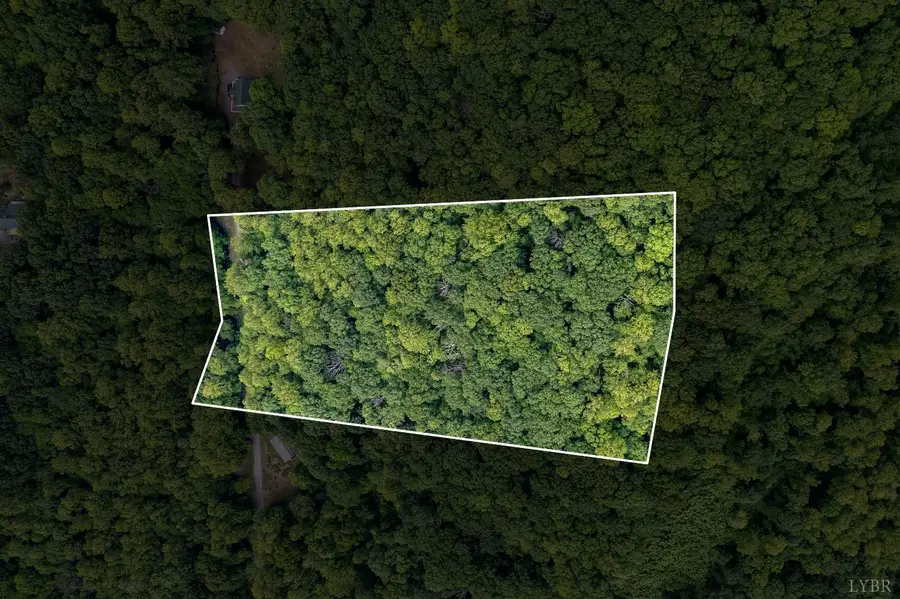 0 Sawmill Road, Bedford, VA 24523 - Image #3