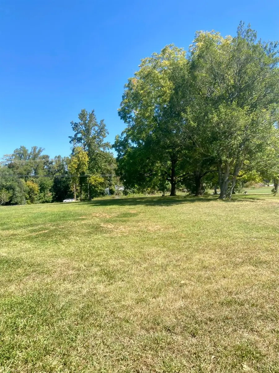 115 Morgan Road, Madison Heights, VA 24572 - Image #2