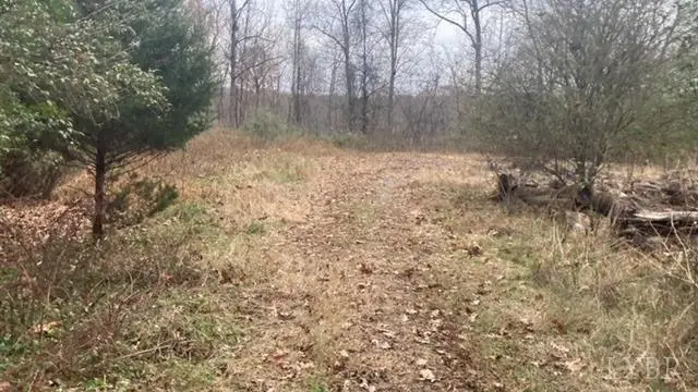 1147 Stratford Road, Lynchburg, VA 24502 - Image #3