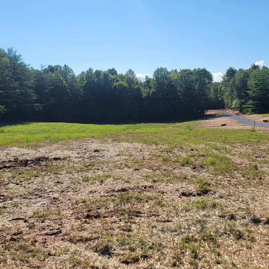 24 Down Creek Road, Brookneal, VA 24528 - #2